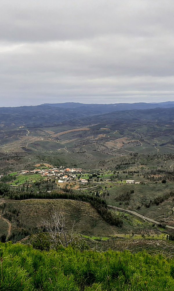 3005 - Pereiro do Carvoeiro