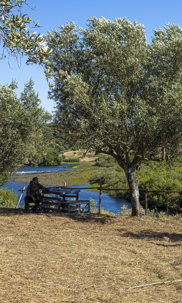 Parques e jardins