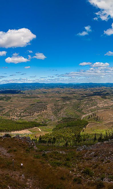 BLUE MOUNTAINS